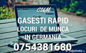 Transportul este foarte scump in olanda, asa ca daca nu stii sa mergi pe bicicleta, cred ca ar fi timpul sa inveti. PreÅ£1 700 Eur Personal Cules Fructe Si Legume Germania Germania AgriculturÄƒ SilviculturÄƒ Germania Acum 53 Minute Adroa Job