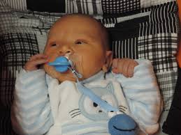 Brit Milá de Uriel Shlomó Menalled