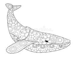 How do you like this new adult coloring page? Whale Coloring Stock Illustrations 1 379 Whale Coloring Stock Illustrations Vectors Clipart Dreamstime
