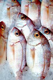 Pour Prolonger Les Vacances B Comme Bon Elevage De Poissons Peintures De Poissons Art De Poissons