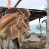 The nearest town, and the usual base for trips to the volcano, is tagaytay in cavite province. 1