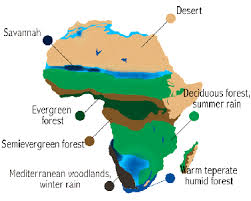 Due to this, one of their primary characteristics is the hot and wet climate. The Tropical Rain Forest