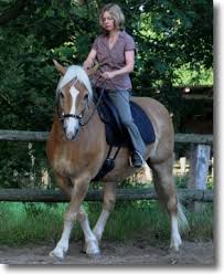 Hackamore {{forumtopicsubject}} har tænkt på at købe en hackamore. Wege Zum Pferd Blog Archiv Feines Reiten Ist Nur Mit Gebiss Moglich