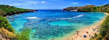 Maybe you would like to learn more about one of these? Where To Snorkel On Oahu Oahu Snorkel Tips Oahu Activities