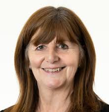 Welsh Government Organisation Chart