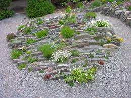 Greetings From Newfoundland Forum Topic Rockery Garden Rock Garden Rock Garden Landscaping