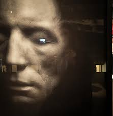 Pressed flowers found in my friend, @susan.nethercote sketchbook.