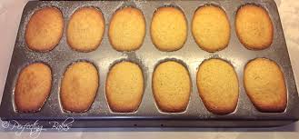 French Madeleines Perfecting Bakes