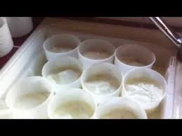 Faire Son Fromage 1 Caillage Empresurage Moulage Type St Marcellin Ou Faisselles Youtube Faire Son Fromage Fromage Fait Maison Recette Fromage