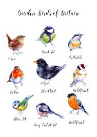 Pin On Watercolor Art
