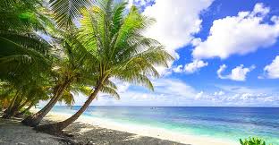 Instructions for downloading zoom virtual backgrounds: Zoom Virtual Background Download Beach Novocom Top