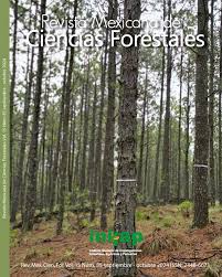 Vol. 15 Núm. 85 (2024)