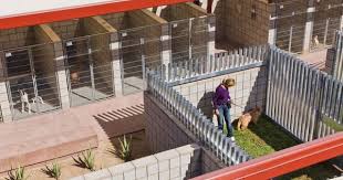Palm Springs Animal Care Facility Swatt Con Imagenes Refugio De Animales Refugios Animales