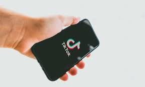 العودة إلى برنامج تيك توك للأعمال Tiktok E3arabi