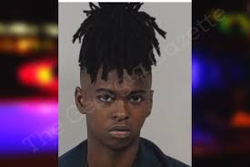 Amelia Hall — Lowndes County Jail Bookings