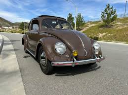 Image result for Medium Brown 1950 Beetle