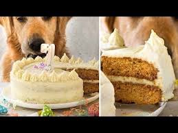 Dog Cake Recipe For A Two Layer Cake Frosted With Fluffy Frosting Made With Wholesome Dog Friendly Ingredients It L Dog Cake Recipes Cake Recipes Chicken Cake
