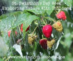 St swithin's day on wn network delivers the latest videos and editable pages for news & events, including entertainment, music, sports, science and more, sign up and share your playlists. St Swithin S Day Week Exploring Nature With Children