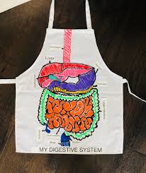 Kids Digestive System Diy Science Project Diy Science Projects Human Body Projects Diy Science