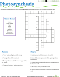 Life Science Crossword Photosynthesis Worksheet Education Com Photosynthesis Worksheet Biology Worksheet Science Puzzles