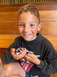 Managing time with 27 rats in 2 cages