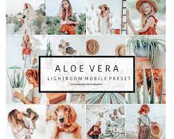 10 Lightroom Mobile Presets Aloe Vera Bright Airy Mobile Etsy Lightroom Lightroom Presets Lightroom Mobile Presets