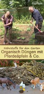 Es Ist Zwar Mist Aber Es Bringt Was Pferdemist Huhner Rind