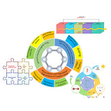 Image result for Tungsten 2011 HS