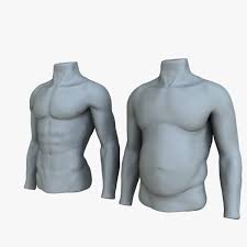 Male Mannequin Before And After 3d Model Male Torso Male Torso Anatomy Mannequin Drawing