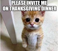 Funny Thanksgiving Memes 2020 In 2020 Funny Thanksgiving Memes Funny Cat Memes Cat Memes