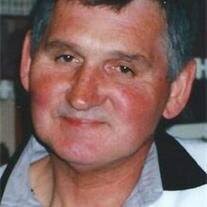 David L. Raub Obituary