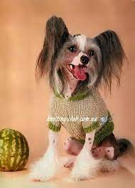 pin na doske www knitting club com ua