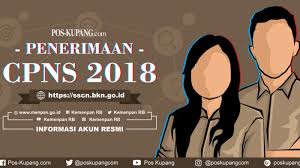 Hasil gambar untuk penerimaan cpns