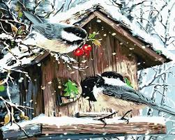 Baby panda s zijn nóg liever. Bol Com Schilderen Op Nummer Volwassenen Vogels In De Sneeuw Paint By Number Volwassenen
