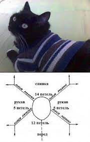 kak snimat merki u koshki garderob dlya nashih lyubimyh pitomcev sobak odezhda dlya koshek postila koshachi kostyumy sviter dlya sobak odezhda dlya sobak