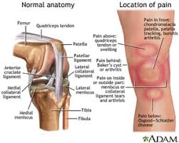Patellofemoral Syndrome Med Diagnostics Rehab