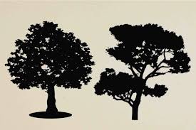 Download Tree Silhouette Graphic By Retrowalldecor Creative Fabrica PSD Mockup Templates