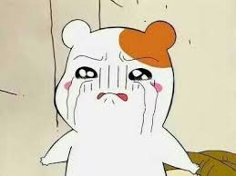 더쿠 이미지 보기