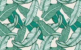 Palm Leaf Chrome Theme Themebeta Backgrounds Desktop Banana Leaves Image Laptop Wallpaper Desktop Wallpapers