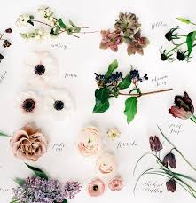 Blumen Von Oriana Goldi Auf Bouquets Bedeutung Von Blumen Meine Hochzeit