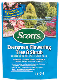 We did not find results for: Scotts Evergreen Fertilizer Flowering Tree And Shrub Plant Food