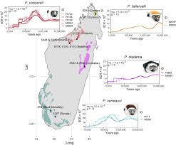 Get the reference files and mapping index programmatically some useful tools for. Comparative Genomic Analysis Of Sifakas Propithecus Reveals Selection For Folivory And High Heterozygosity Despite Endangered Status Science Advances