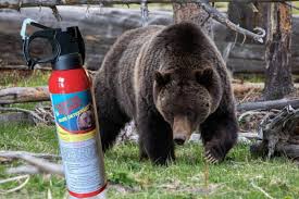 Counter assault bear deterrent can spray up to 40 feet and will last 8 seconds. How To Use Bear Spray Correctly The National Parks Experience