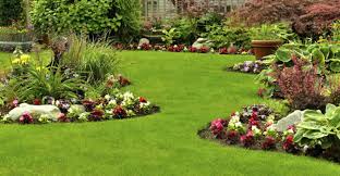 Please contact us for current pricing. Landscaping Louisville Landscapers Louisville Ky Chop Chop Landscaping Louisville Ky