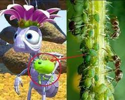 In A Bug's Life (1999), the queen is seen to have a pet named 