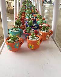 Return Gift Succulents Zilpakala Handmade Plants Birthday Return Gifts Plant Gifts Plants