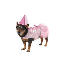 42 Funniest Dog Halloween Costumes 2021
