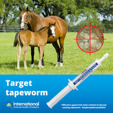 When combined with traditional psychotherapy, activities involving horses can help people suffering from a range of mental conditions, including depression and adhd. International Animal Health Products Spring Tapeworm Control Spring Provides The Ideal Conditions For Horses To Become Infected With Tapeworm Anoplocephala Perfoliata Are The Most Common Disease Causing Tapeworm Of Horses