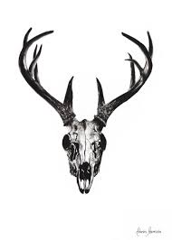 Black And White Deer Skull Deer Skull Art Print By Ashvinharrison X Small In 2020 Deer Skull Drawing Deer Skull Art Skull Art Print