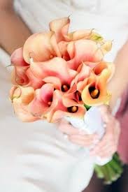 Orange bouquet with calla lilies dahlias and roses. Coral Calla Lilies Love This Color Calla Lily Wedding Calla Lily Wedding Flowers Calla Lily Bouquet Wedding
